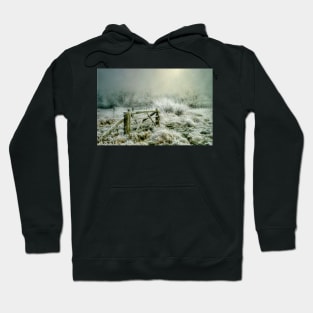 Heavy Frost Hoodie